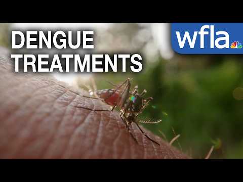 Pinellas County partners with Lee County to begin aerial dengue treatments