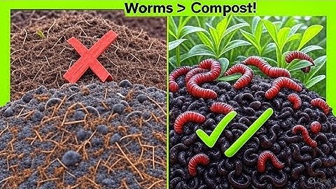 Composting Is Outdated – This Method Beats It Every Time