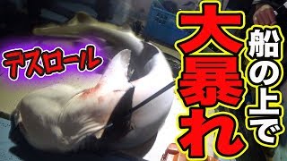 漁場を荒らすサメを駆除して漁師を救え！【久高島漁入門遠征#3】