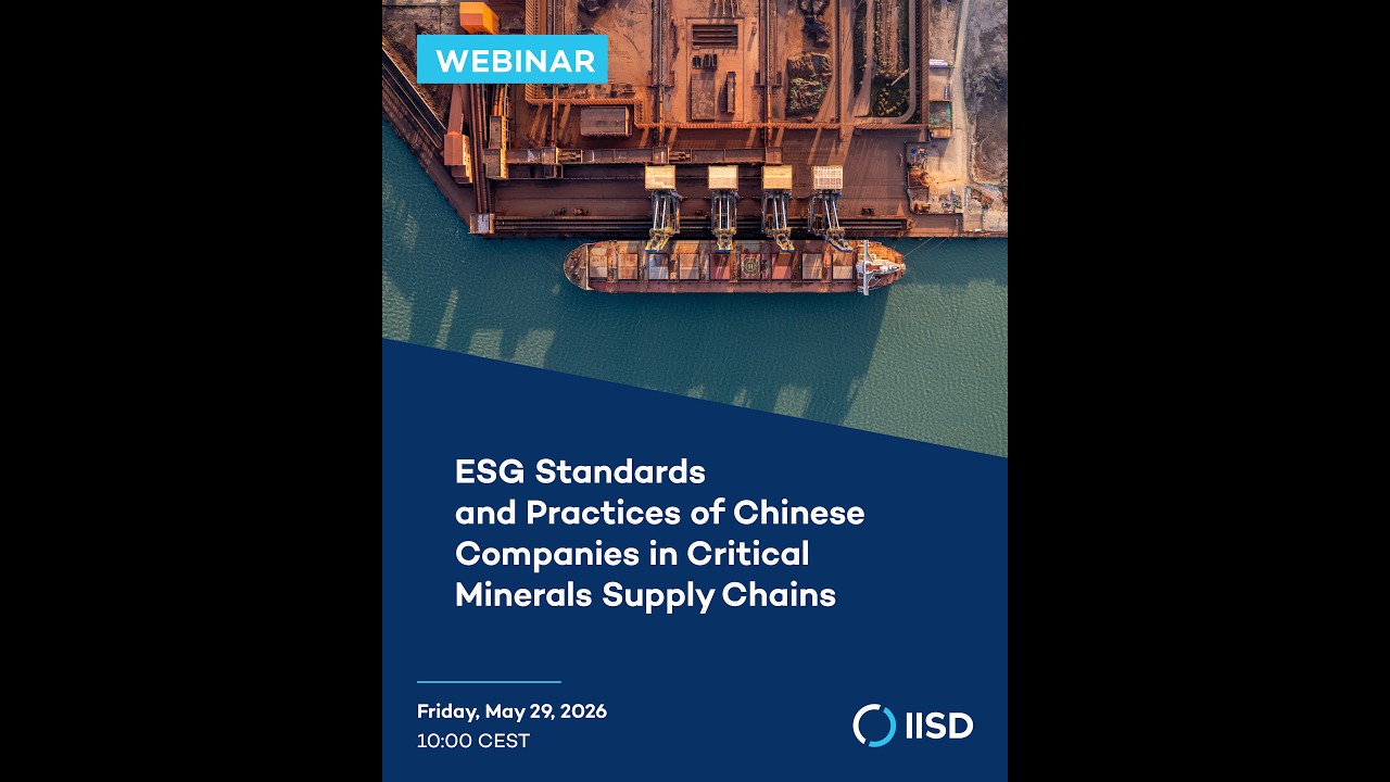 ESG Standards and Practices of Chinese Companies in Critical Minerals ...