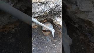 TREASURE HUNTER #gold #adventer #metaldetector #nature #satisfying #treasure #shorts