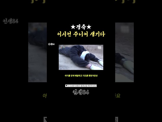 순산을 기원합니다.