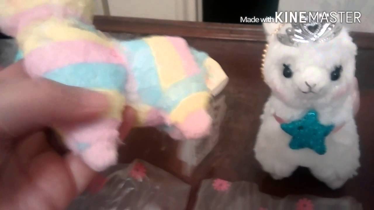 Alpacassos I got in the mail from Rosy's Garden