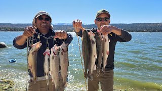 Our Fishing Trip to Big Bear lake, big fat Trout!