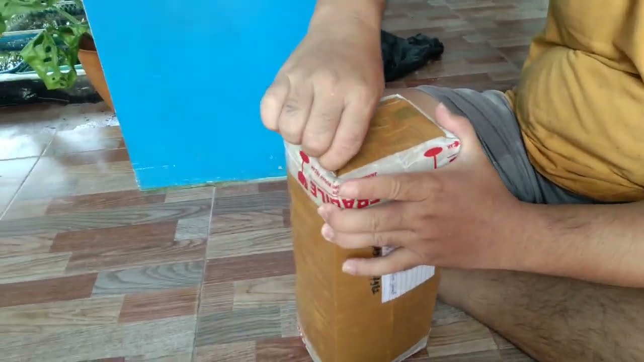 bucephalandra brownie ghost 2011