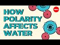 How polarity makes water behave strangely