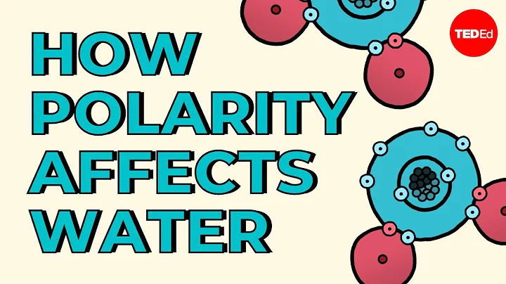 How polarity makes water behave strangely - Christina Kleinberg