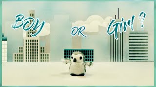 Boy or Girl ? GENDER REVEAL ! screenshot 1