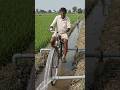 cycle irrigation #shortvideo #shortsfeed #shortsvideo #shorts