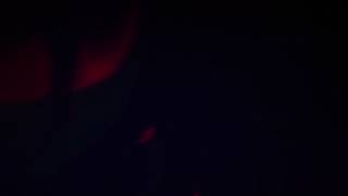 IMG 2978