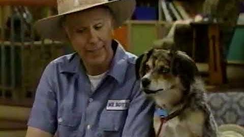 All Week Of Barney Songs (Screener) (All Week Version) Part 63