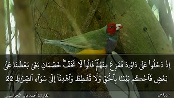 الصفحة 454 سورة ص بصوت القارئ المهندس أحمد فايز الحراسيس