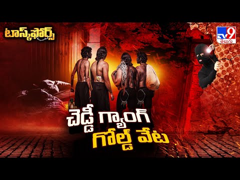 Task Force : చెడ్డీ గ్యాంగ్ గోల్డ్ హంట్ - TV9 - TV9
