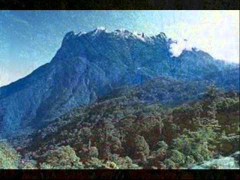Kau pendusta by Marley Peter (Tanpa Edit) Lagu Baru