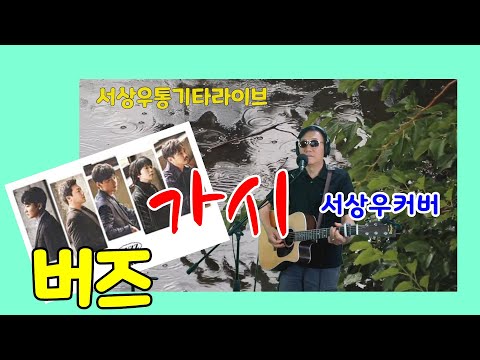 20-52 가시 (버즈, 민경훈) covered by 통기타가수서상우