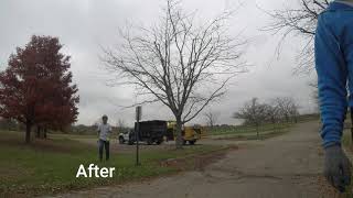 Structural Tree Pruning
