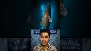 The Shark That Outlived the Taj Mahal 🏛️ #facts #shorts #greenlandshark