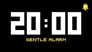 20 Minute Countdown Timer | Black Screen | Gentle Alarm