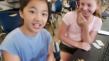 MDC Sting 4.01 - DR Update