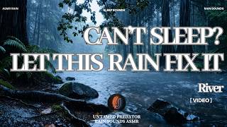 Midnight River Mist and Heavy Rain in a Dense Forest for Deep Insomnia Relief | Rain Sounds