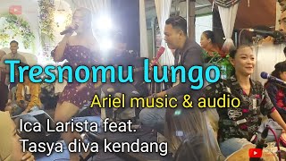 Tresnomu lungo - Icha Larista feat. Tasya diva kendang. Ariel music & audio