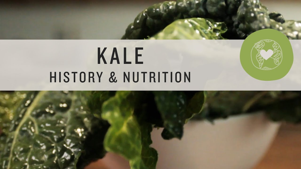 Kale History & Nutrition Superfoods YouTube