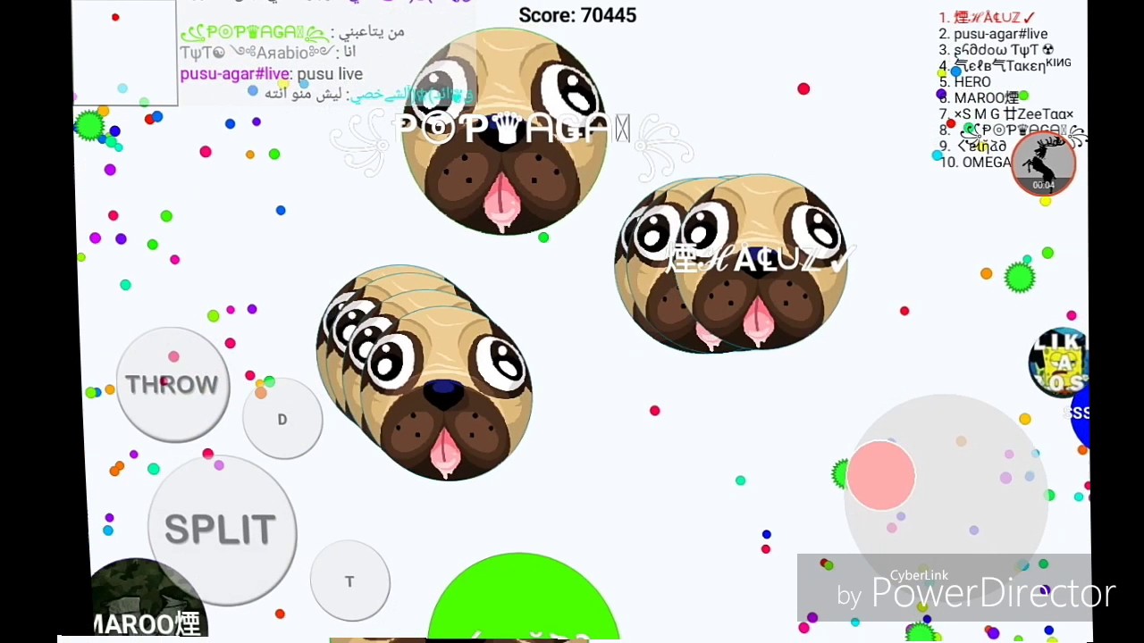 Blob.io /popslit ,tricplit ,double split , (King) !