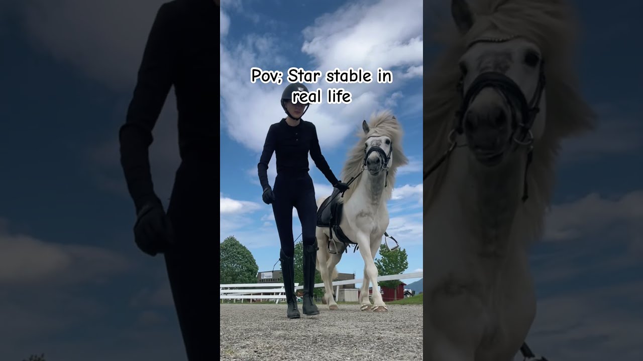 Pov Star Stable In Real Life Starstable Sso Videogames Horse Icelandichorse Pony Trending