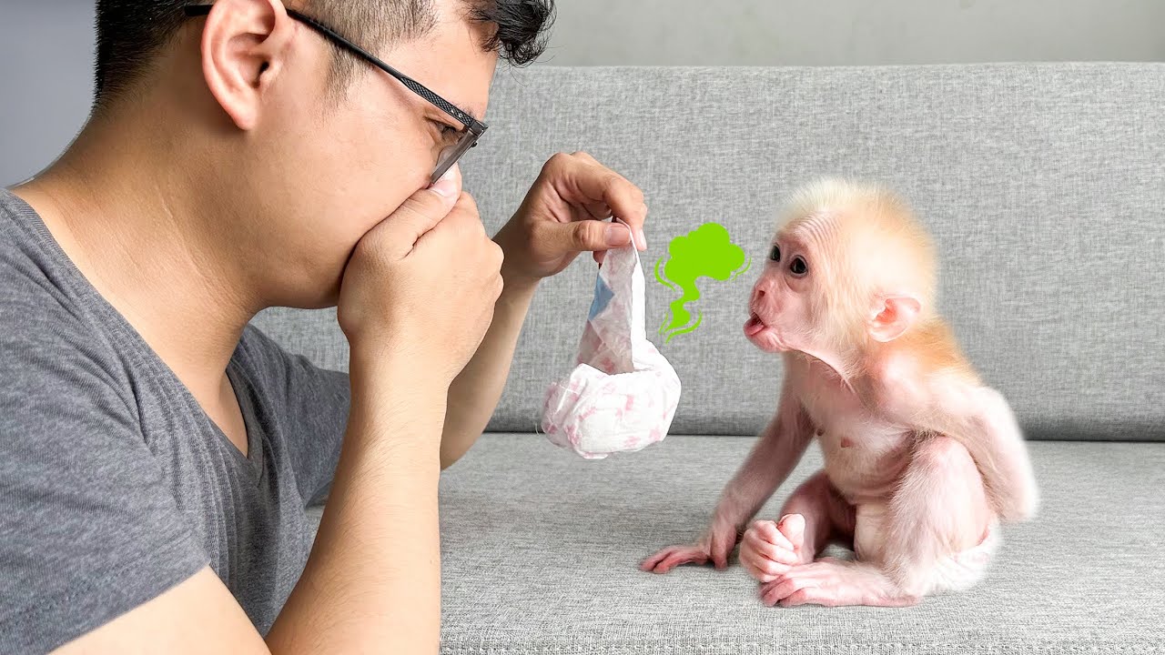 Monkey Baby Molly is embarrassed when Dad's brother changes her diaper.