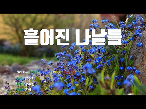 [은성 반주기] 흩어진나날들(원곡) - 강수지