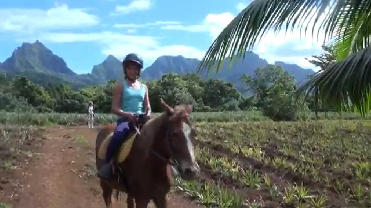 Horseback riding along pineapple trail in Moorea YouTube