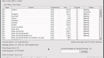 Directory Brute Forcing