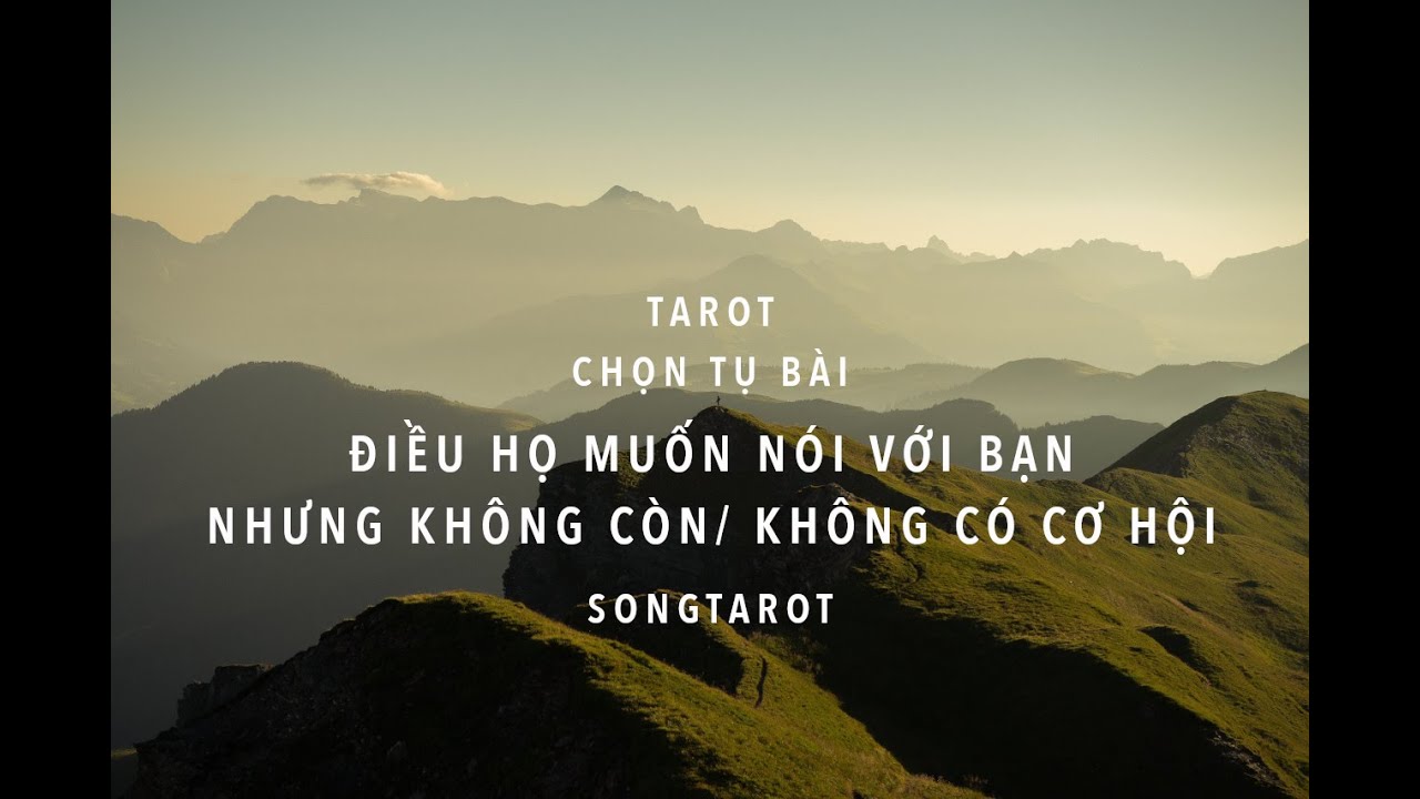 tarot: chọn tụ bài: điều họ muốn nói với bạn nhưng không còn/không có cơ hội