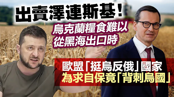 20230722A 出賣澤連斯基！烏克蘭糧食難以從黑海出口時，歐盟「挺烏反俄」國家為求自保竟「背刺烏國」！ - 天天要聞