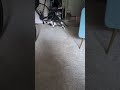 Hulu video