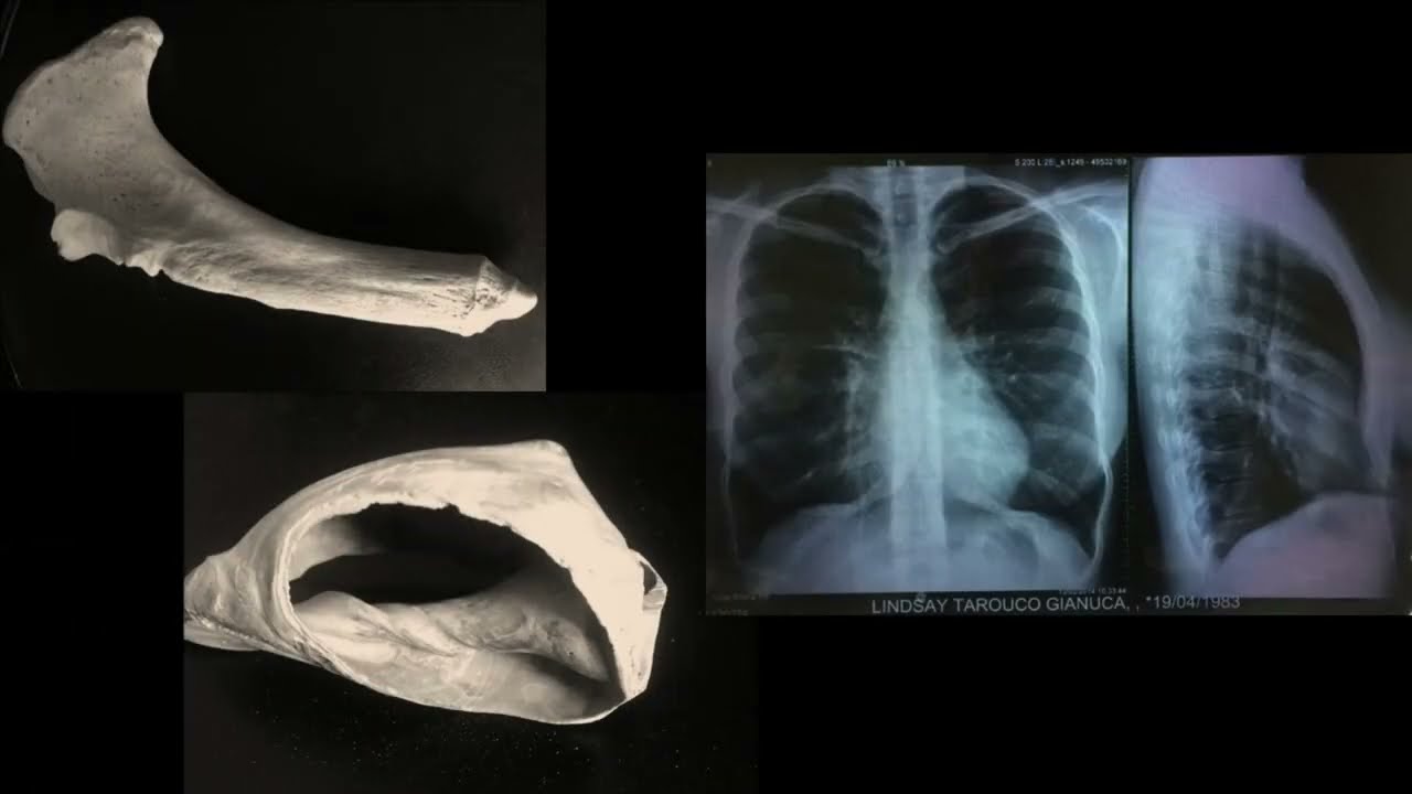 Provocations Project – HOW is your research embodied?