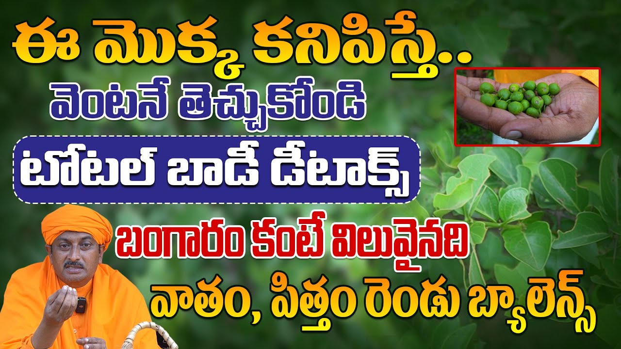 టోటల్ బాడీ డీటాక్స్ బంగారం కంటే విలువైనది వాతం, పిత్తం రెండు బ్యాలెన్స్ | Dr.Ravivarma | AYUR MANTRA