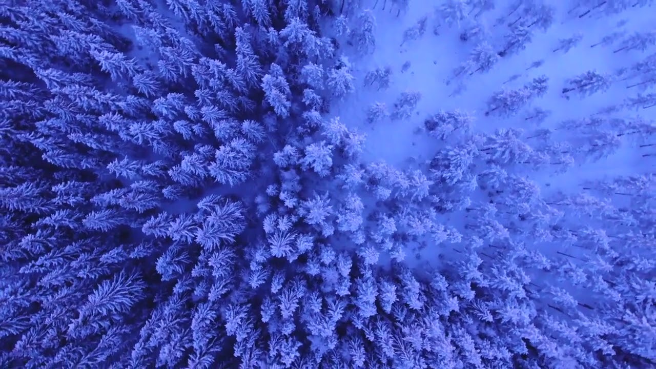 nciku - not goodbye music visual