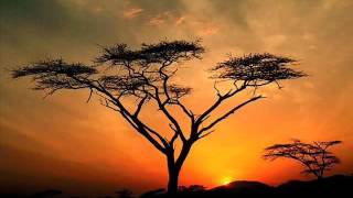 Miriam Makeba   African Sunset