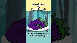 Is Bald Eagle Carnivore or Herbivore? | Learn what Wild Animals Eat #art #animals #animation
