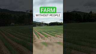 ChatGPT Is Already Running Farms | Artificial Intelligence in Agriculture