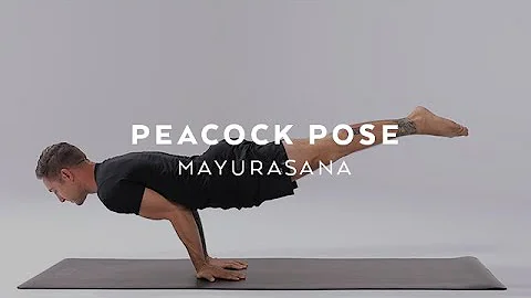 How to do Peacock Pose | Mayurasana Tutorial with Dylan Werner