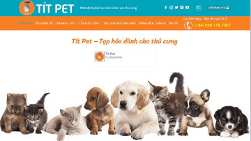 Thiết Kế Website Tạp Hóa Thú Cưng - Website Pet Thú Cưng | Avato Offcial