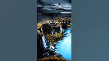 يَا أَيُّهَا الَّذِينَ آمَنُوا اجْتَنِبُوا كَثِيرًا مِّنَ الظَّنِّ القارئ ياسر الدوسري