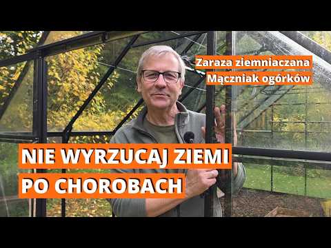 GREENHOUSE AFTER THE SEASON #3 - Do you need to replace the soil and disinfect the greenhouse aft...