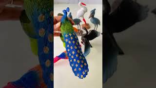 Birds Figurine - Set Of 9 Realistic Species