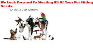 Best Pet Sitter Columbus Ga: Choosing Your Next Pet