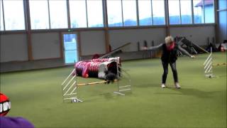 Pina O Jumping Adventlauf 20151128