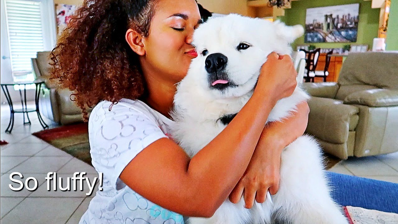 Hugging and Rubbing My Dog for too Long