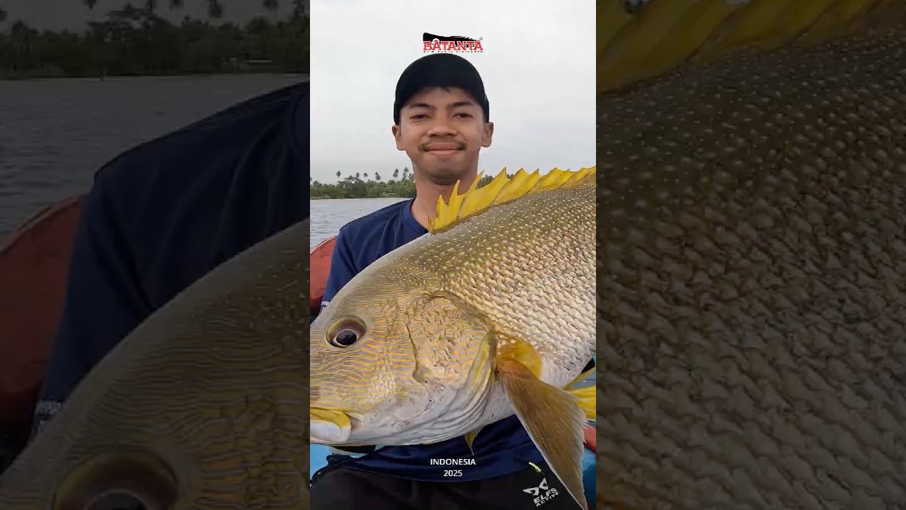 Maori Sea Perch on Popping! Fishing Adventure in Indonesia's Eastern Islands! 2025 